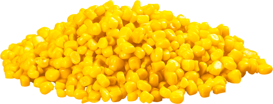 Heap of Corn Kernels  