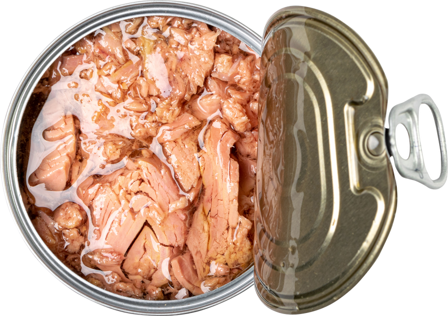 Canned Tuna Isolated, Albacore Fish Chunks in Open Tin Can, Tuna Oil Preserve, Seafood Conserve