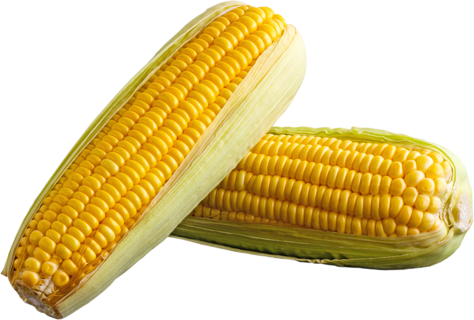 Sweet Corn