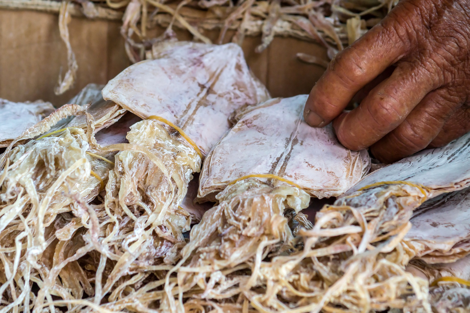 Dried squid Dried shredded squid is a dried, seafood product