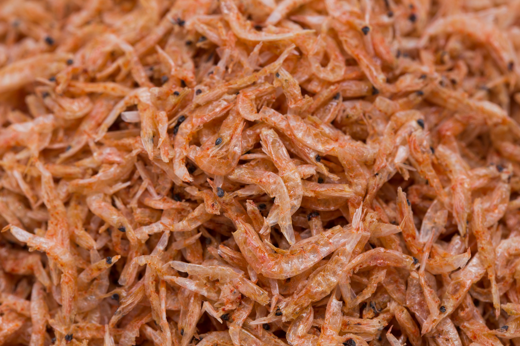 Dried krill