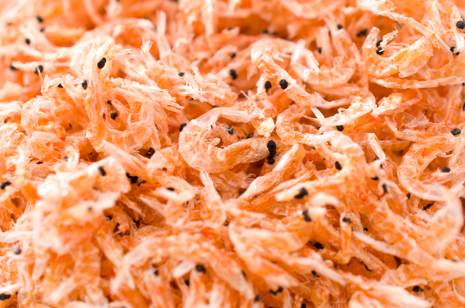 Dried krill